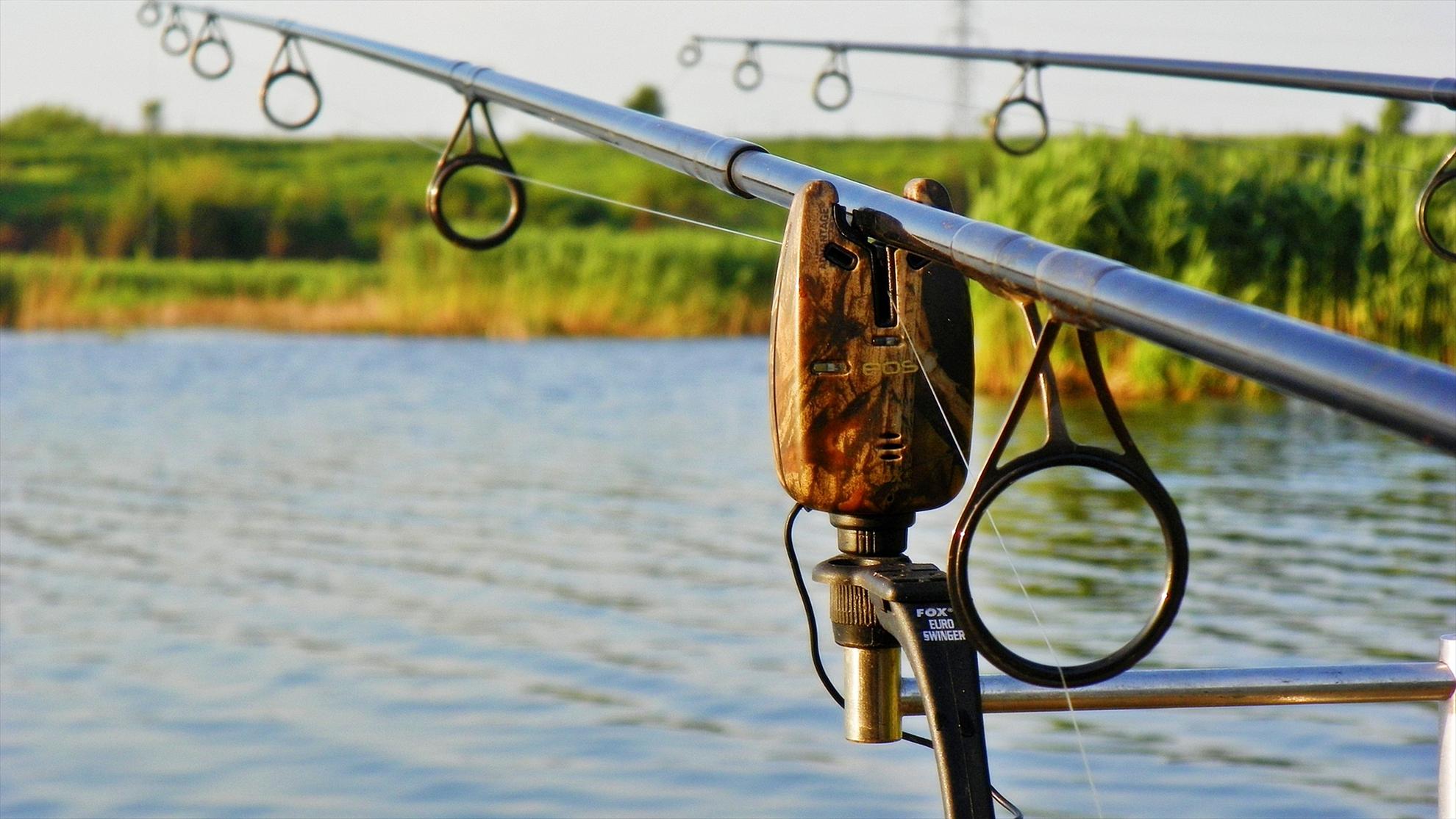 Crapmania (2) - 2011 - 1001414.JPG